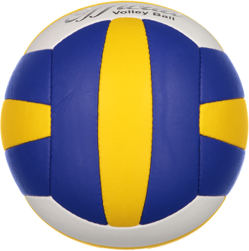 Selex All Star Voleybol Topu